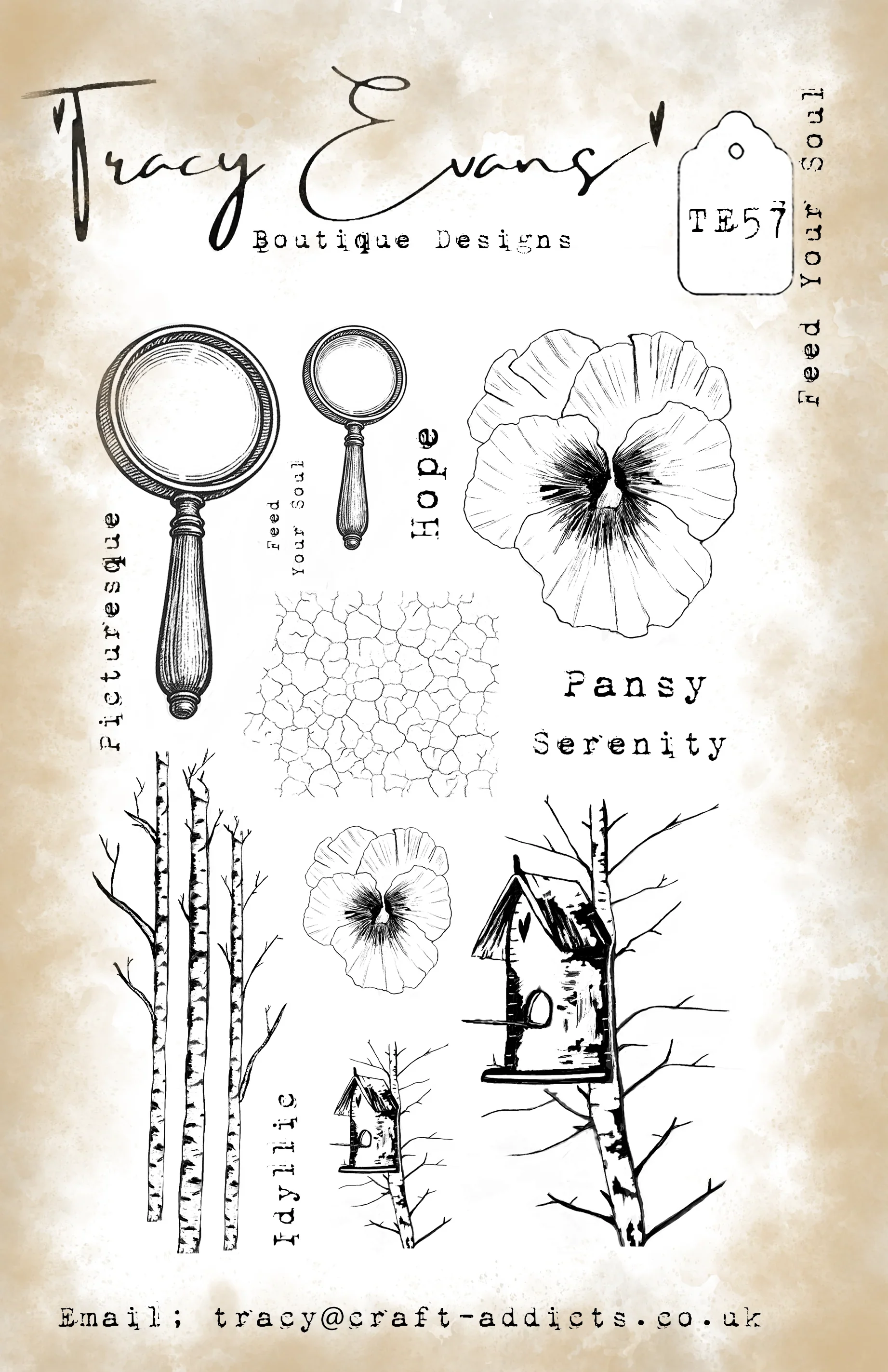 La Belleza de una Flor: Troque - Candle Making Books For Beginners reseña y precio